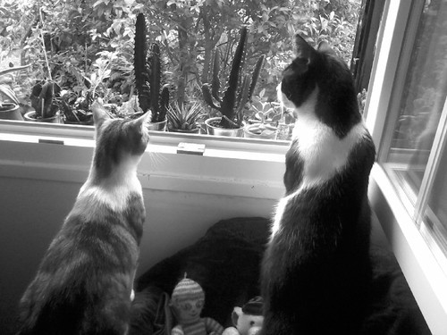 19899957_CJ3Jp.jpeg 19899957_CJ3Jp.jpeg