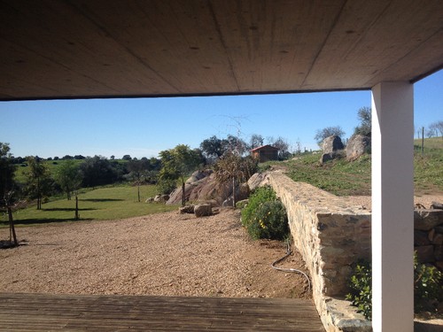 IMG_7067.JPG IMG_7067.JPG