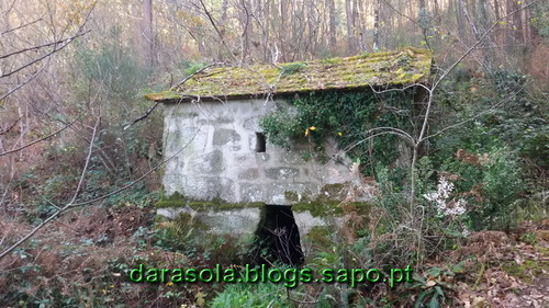 Burgo_14.jpg Burgo_14.jpg