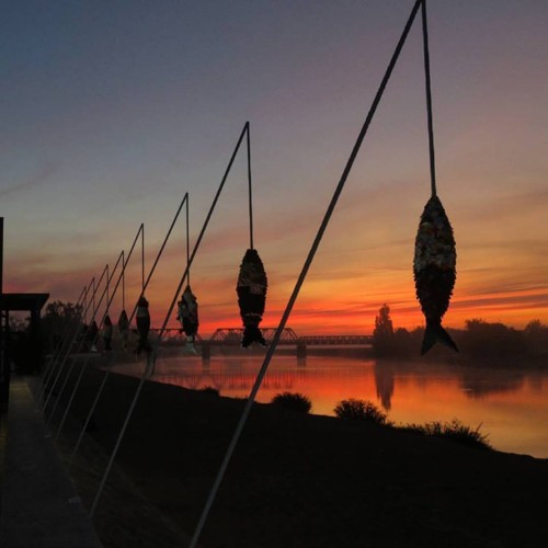 22089944_1689624137715461_4802799380330178825_n.jp