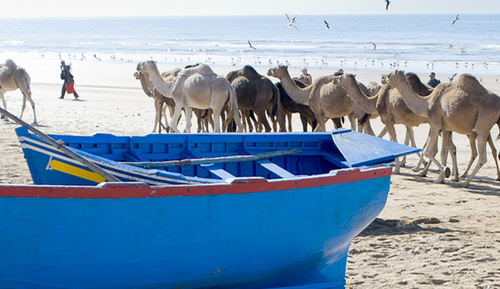 Captura de ecrã 2015-03-12, às 11.38.18.png