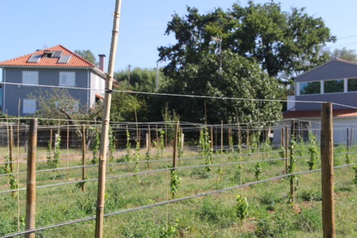 IMG_2263.jpg IMG_2263.jpg