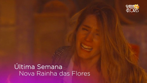 rainha das flores - ultima semana.jpg