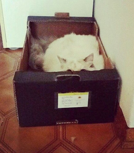 21685958_969029749903453_1469132306071662329_n.jpg 21685958_969029749903453_1469132306071662329_n.jpg