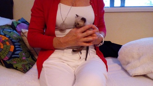 IMG_20160916_231103.jpg IMG_20160916_231103.jpg