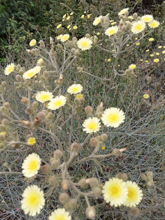 Foto Original. 2021.05.22.jpg