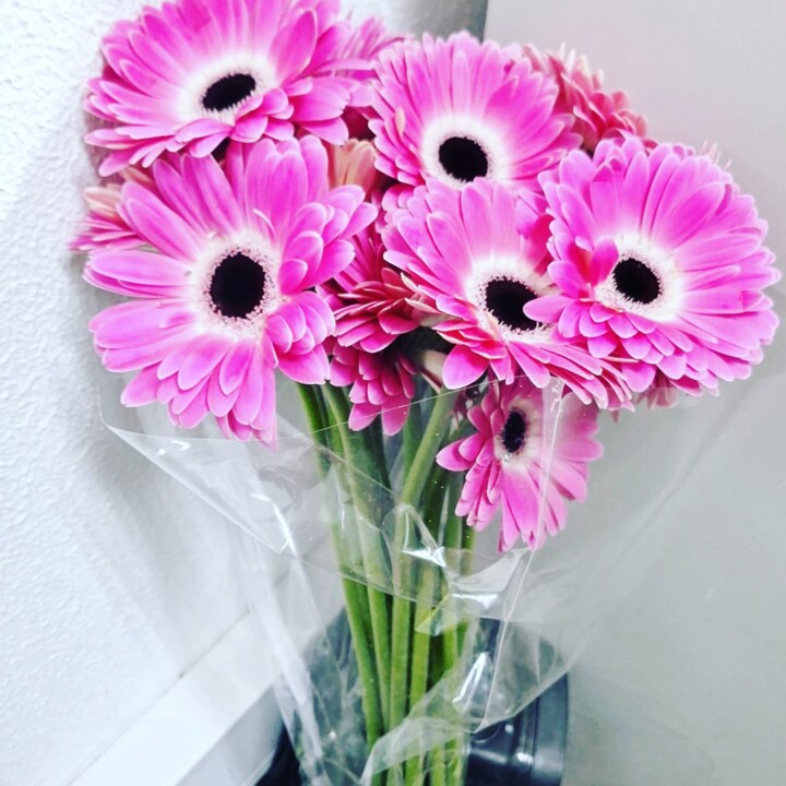 468170468_965706292253448_7046010065103647022_n.jp