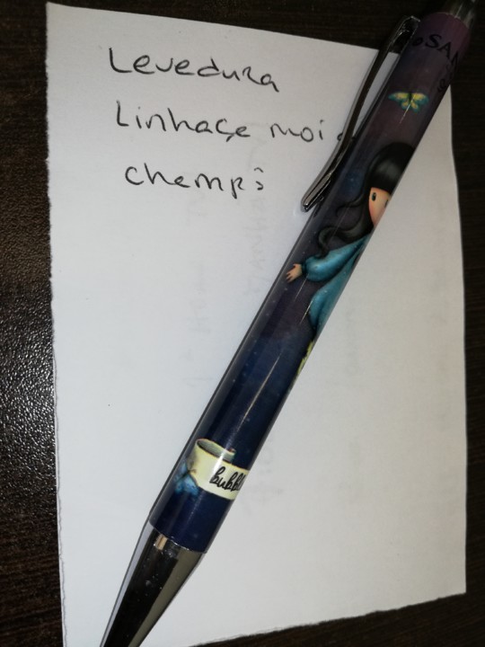 IMG_20200123_121242.jpg IMG_20200123_121242.jpg