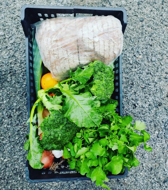 324255410_1130881200902835_5131830490942319277_n.j