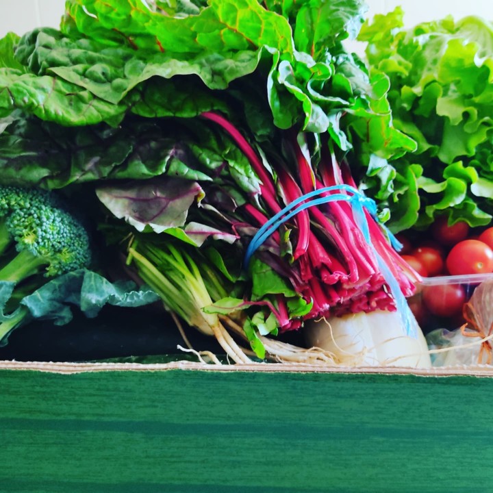 245654906_2143027519170331_1803731926135852875_n.j