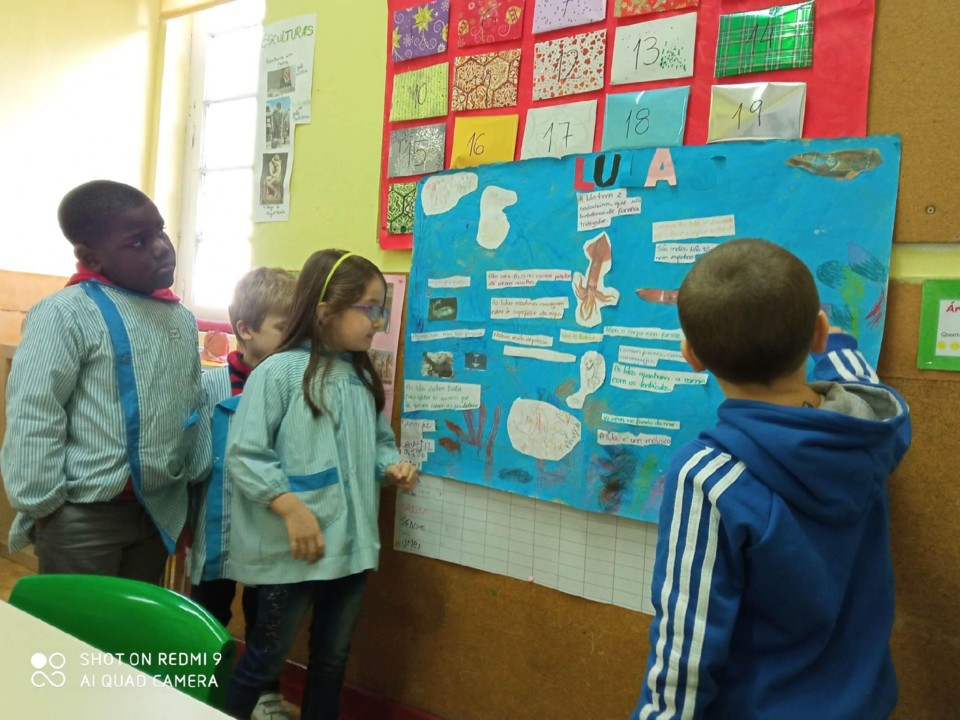 135813420_1452541068288383_4184314970630416811_n.j