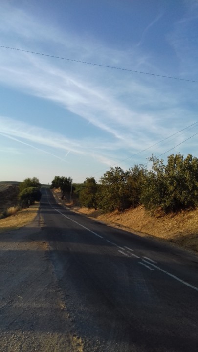 20190621_202136.jpg 20190621_202136.jpg