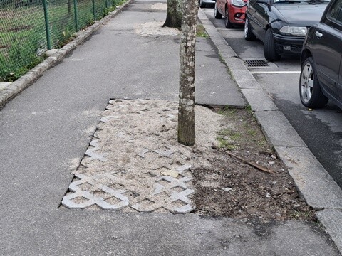 19b_Caldas_das_Taipas_Visita (63).jpg