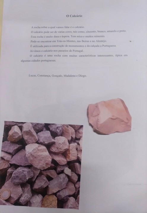 55875464_2409037672752532_3593096251727413248_n (1