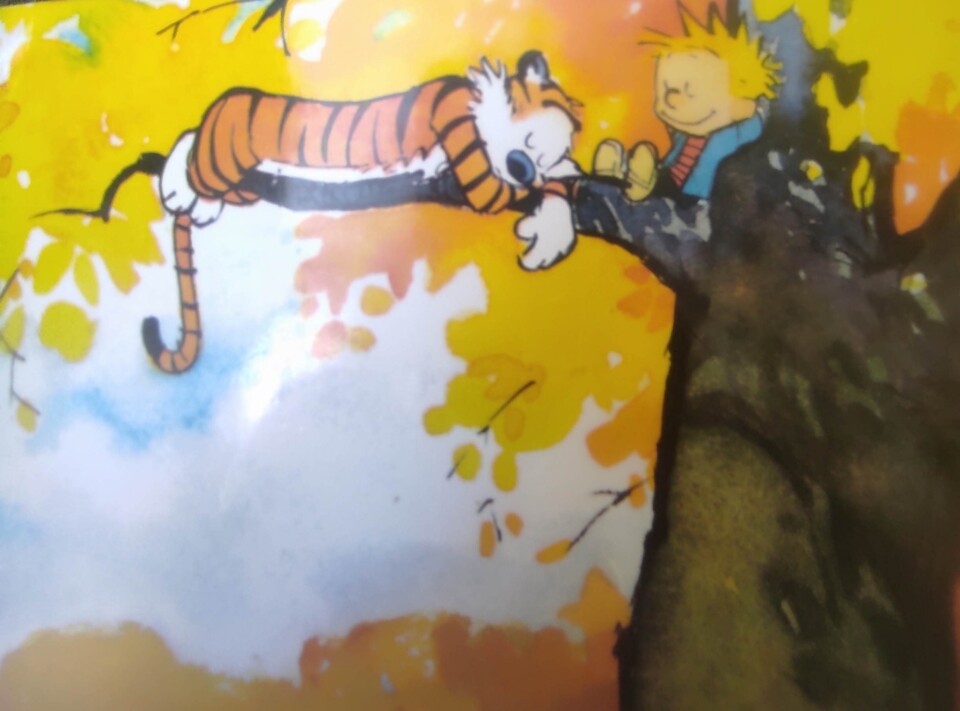 Screenshot_2024-09-14-10-54-10-426-edit_com.google