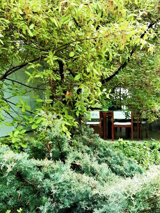 café1.jpg café1.jpg