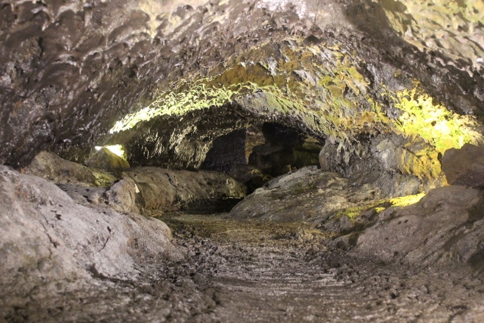 20190930135829_IMG_0782_resized_20191021_082742419