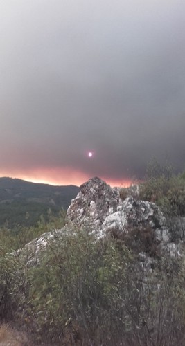 20170617_202030 - Cópia3.jpg 20170617_202030 - Cópia3.jpg