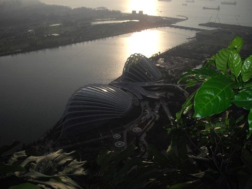 IMGP6392.JPG IMGP6392.JPG