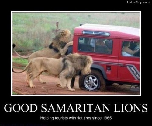 Good Samaritan Lions