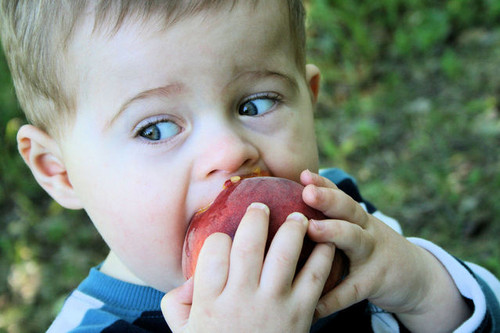 little-boy-eating-a-peach-1-1429637-639x426.jpg