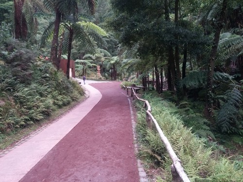 2015-09-12 20.15.20.jpg