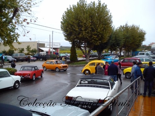 Rota do Moscatel Favaios 2015 (209).jpg