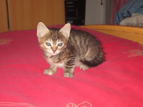 IMG_2314.JPG IMG_2314.JPG