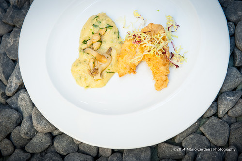 1025-241_TivoliChefNoélia.jpg 1025-241_TivoliChefNoélia.jpg