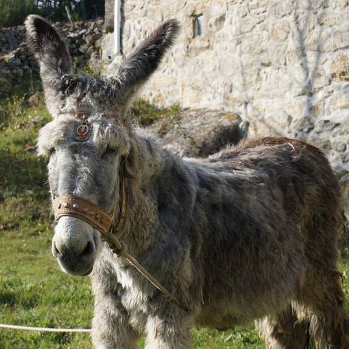 DSC03574.JPG DSC03574.JPG