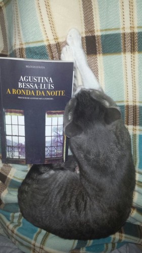 DbGJaxpWkAIRYem.jpg DbGJaxpWkAIRYem.jpg