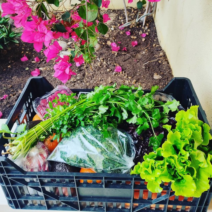 129230107_1892394270900325_5960954077272604890_o.j