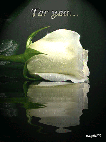 whiterose_eMw2Sp61.gif whiterose_eMw2Sp61.gif