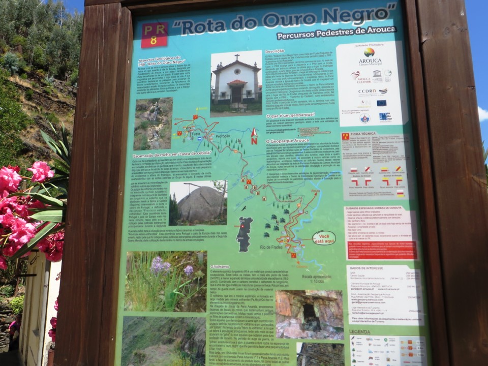 IMG_3438.JPG IMG_3438.JPG