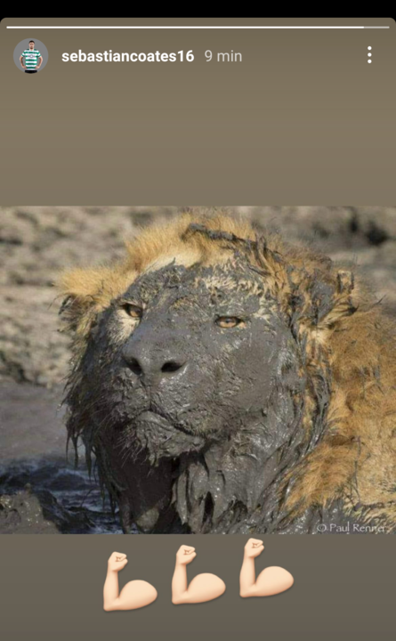 Screenshot_20210108-222216.png Screenshot_20210108-222216.png