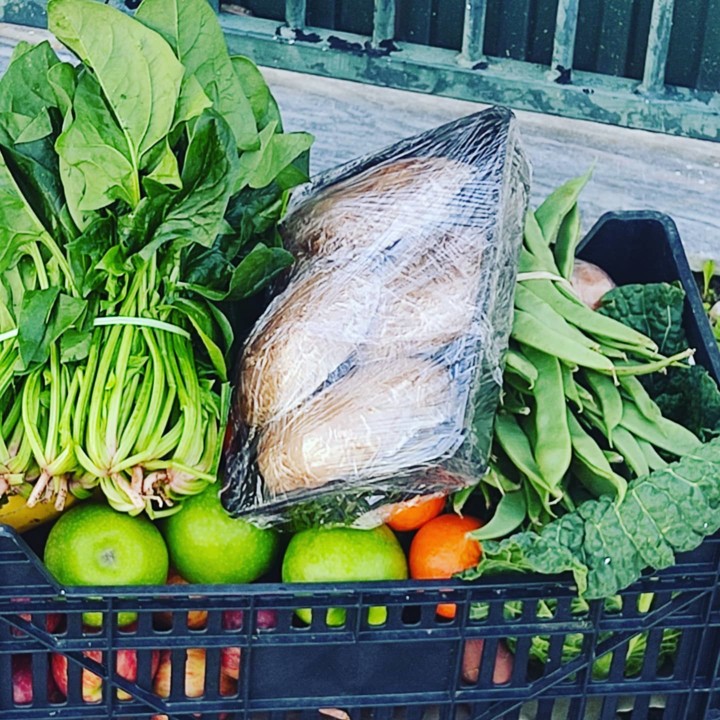 144994057_1940086026131149_6622559654135880894_o.j