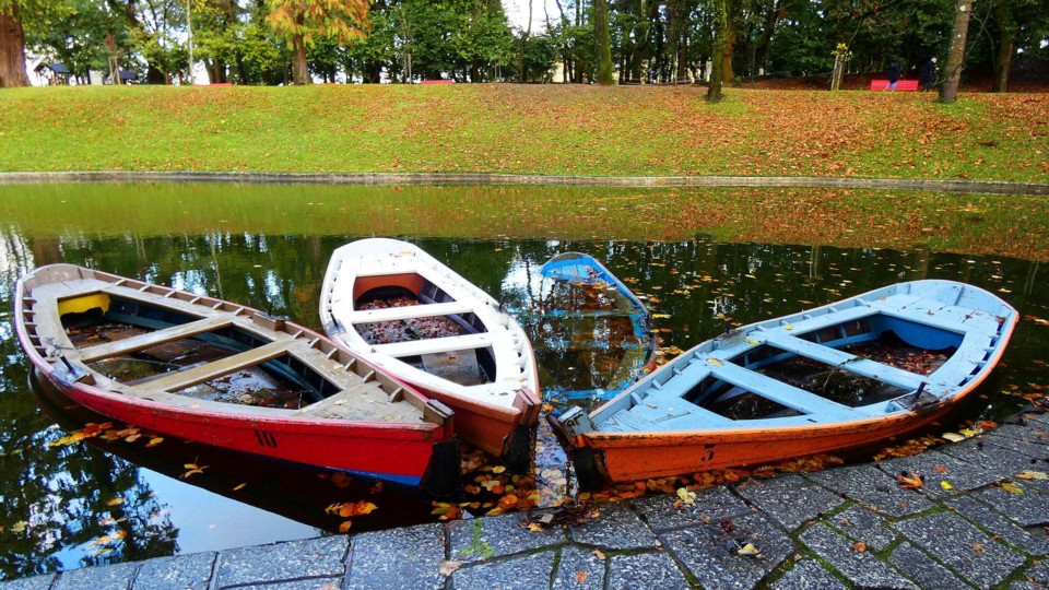 124312416_10218781114934061_1489355071811033731_o.