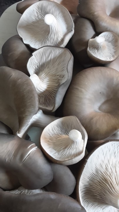 20180224_192801.jpg 20180224_192801.jpg