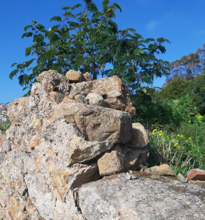 20200204_214324.jpg 20200204_214324.jpg