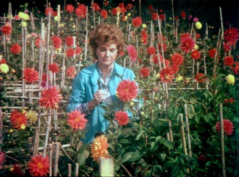 46492125_10212764284878851_3789748557804732416_n.j