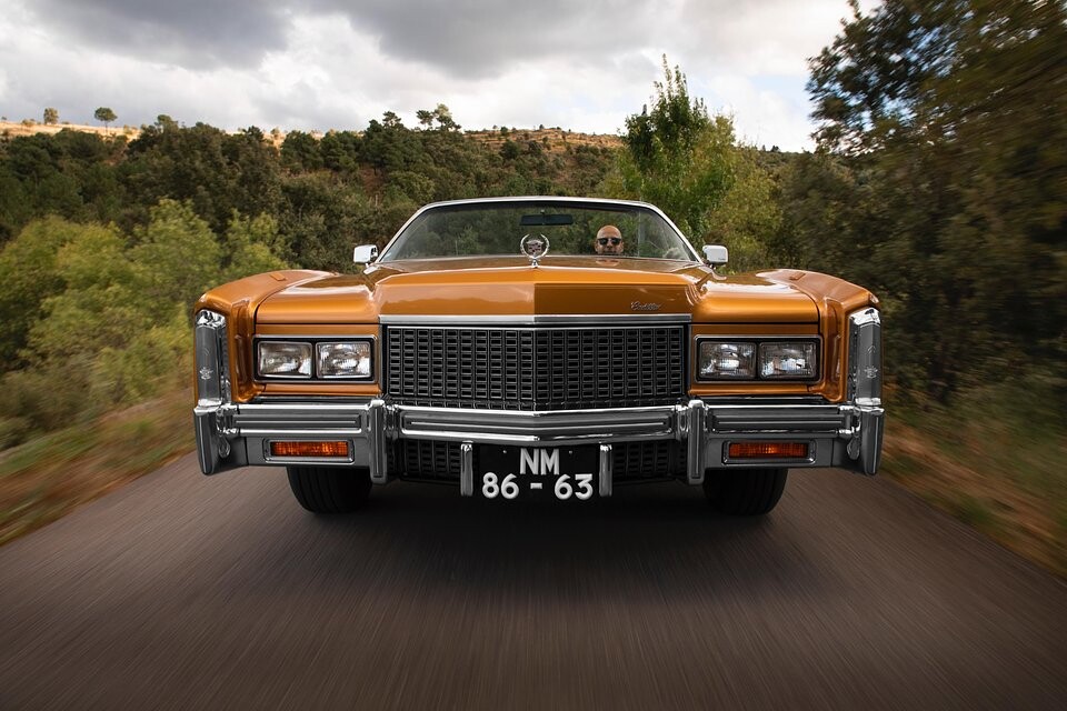 descarregar (4).jfif