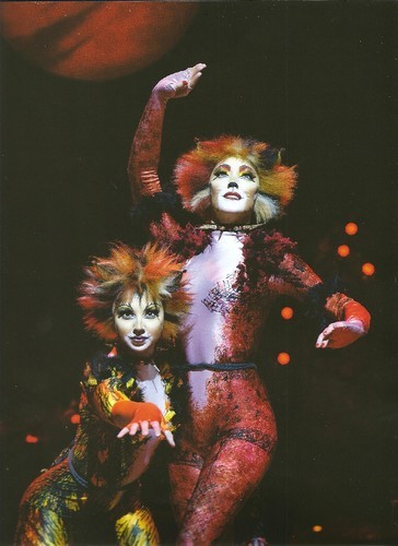 CATS musical.jpeg