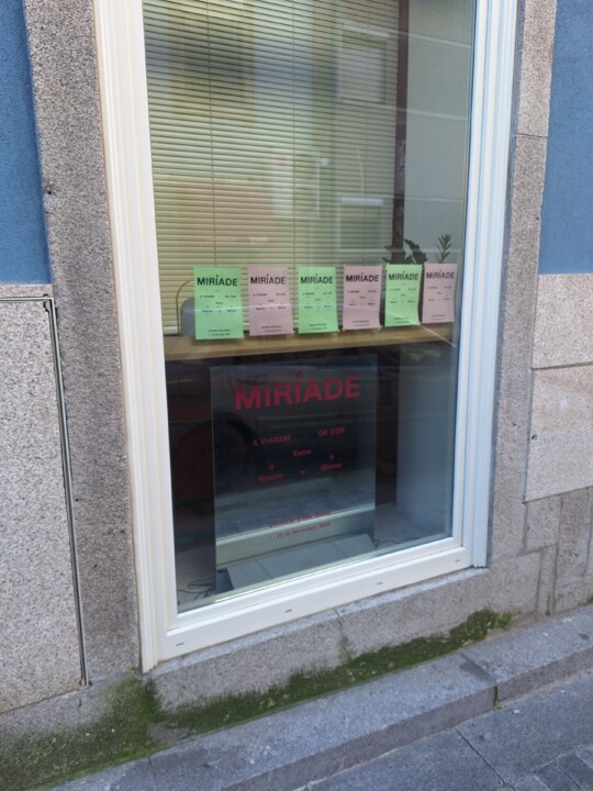 20251120_103508 1.jpg