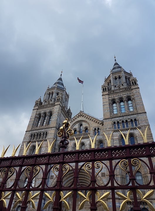 59992749_443907656413336_4364622538735616000_n.jpg 59992749_443907656413336_4364622538735616000_n.jpg