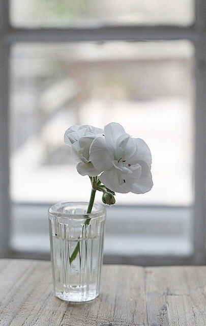 131154968_3470874409675073_1238932976900421943_n.j