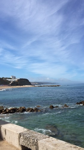 IMG_5610.JPG IMG_5610.JPG