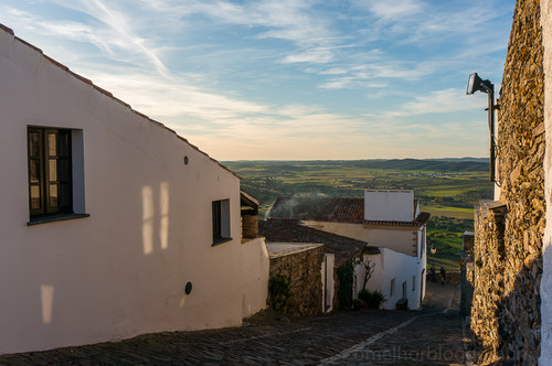 DSC00881.jpg DSC00881.jpg