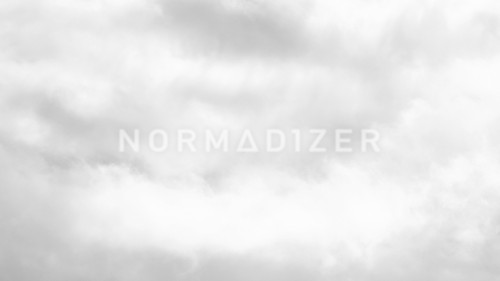 normadizer.jpg