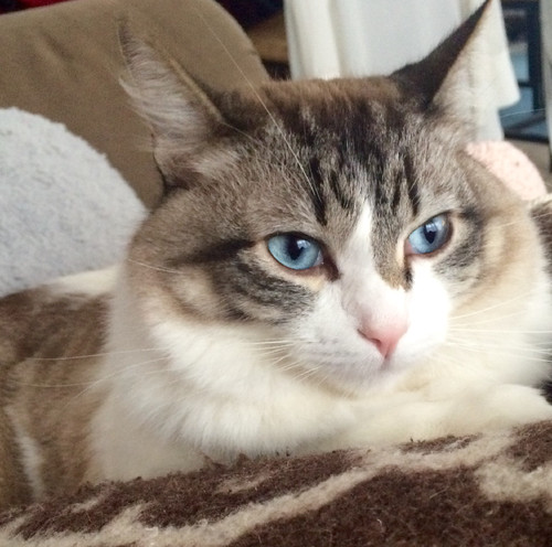 FullSizeRender (17).jpg