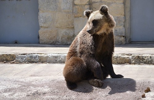 IMG_9533.PNG IMG_9533.PNG